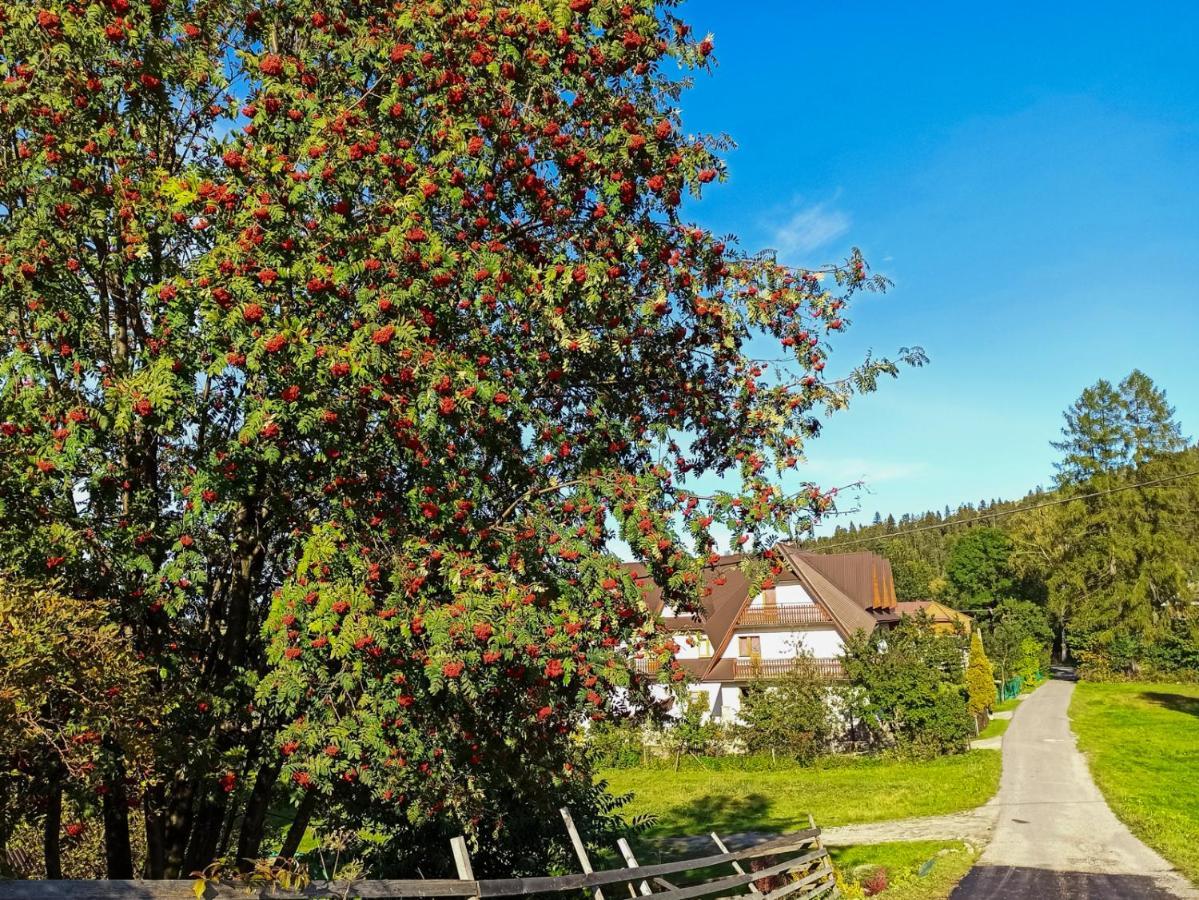 Pokoje Goscinne Duda Białka Tatrzańska Exterior photo